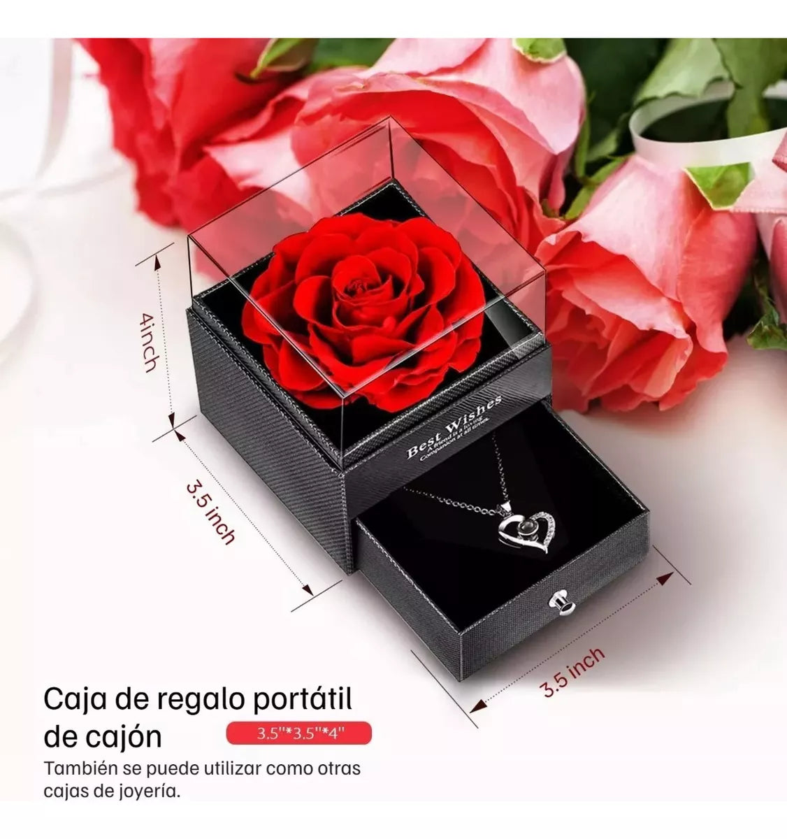Encabezado