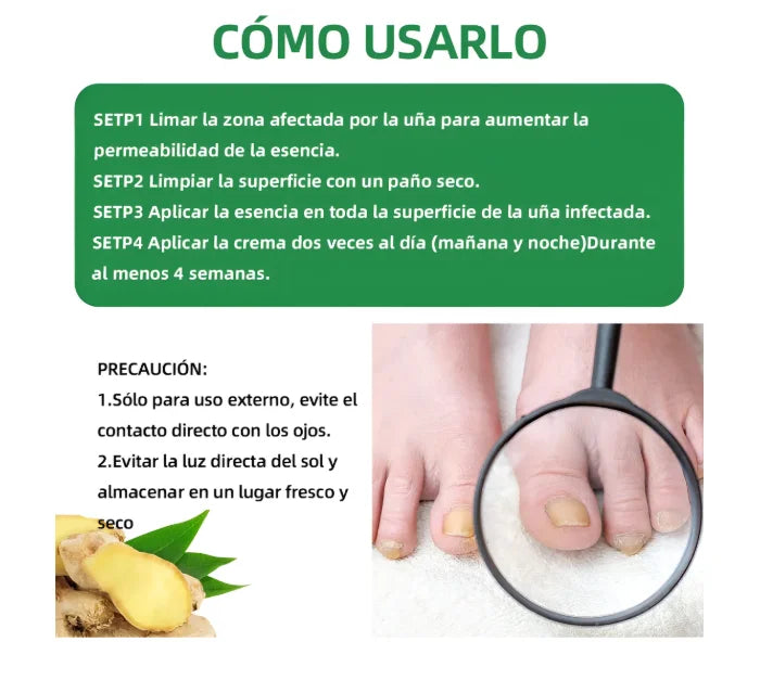 Encabezado