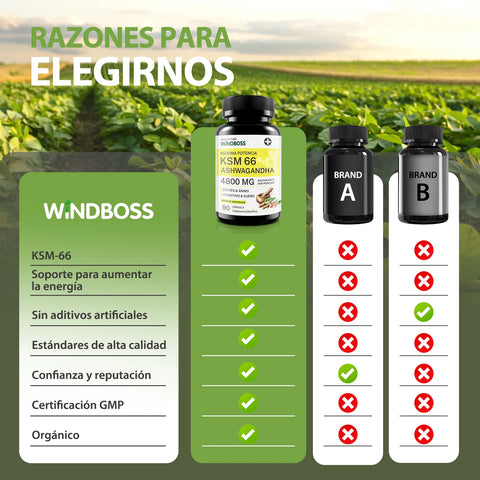 Producto
