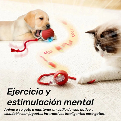 Producto