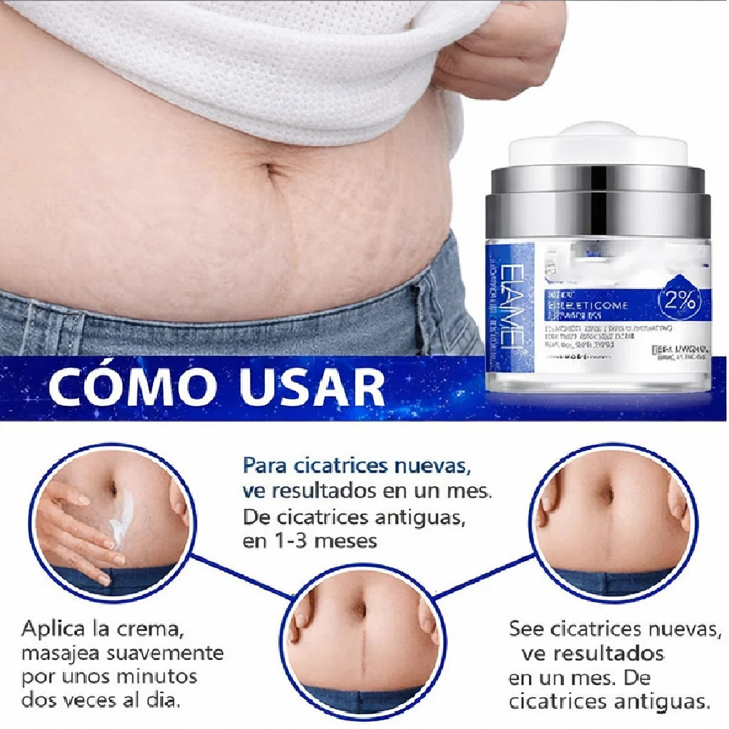 Encabezado