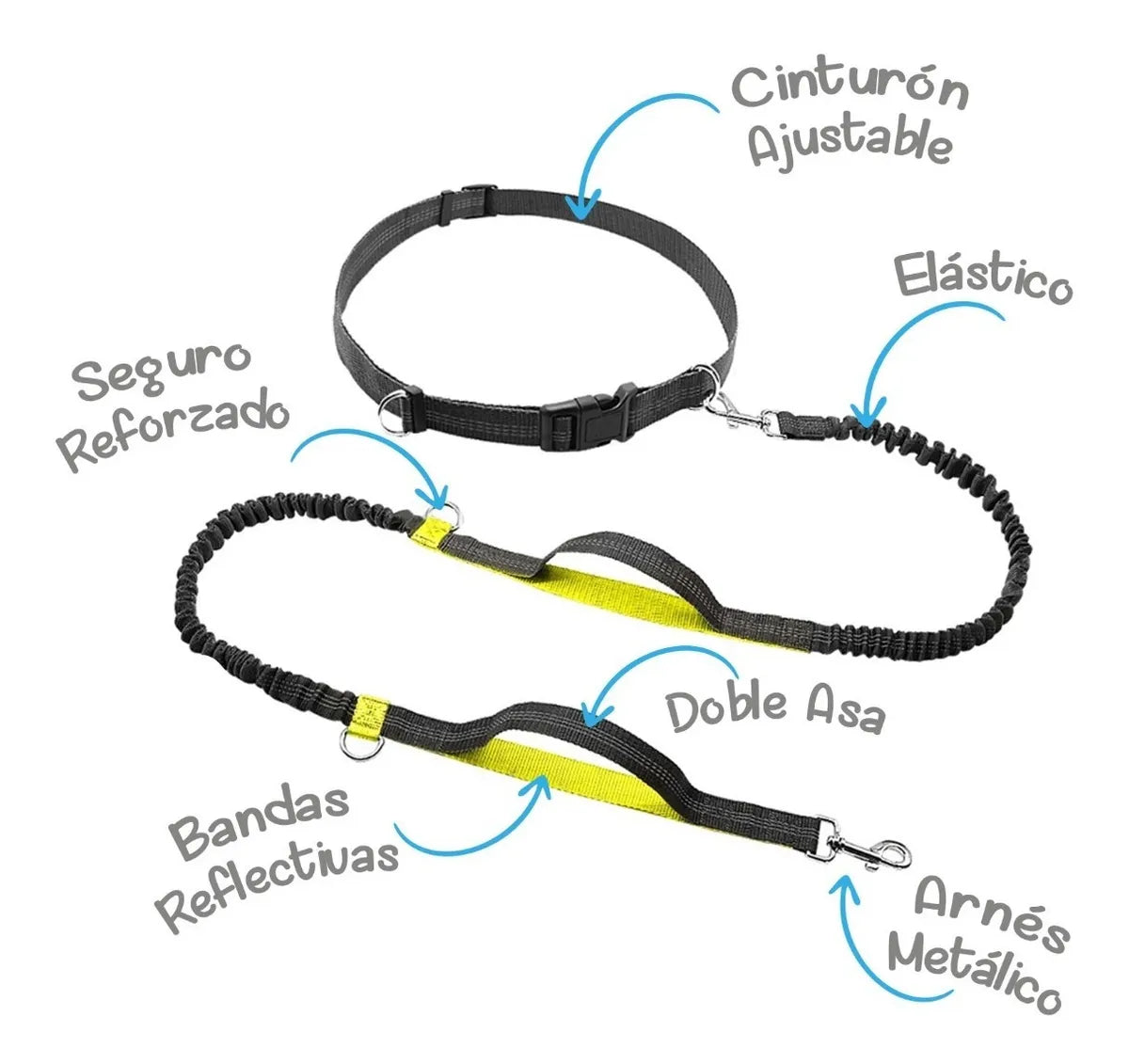 Encabezado