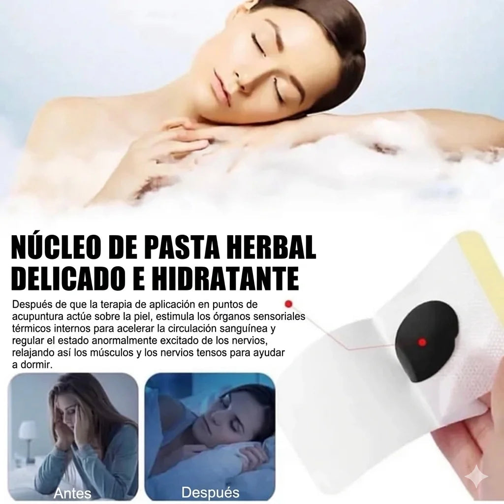 Encabezado