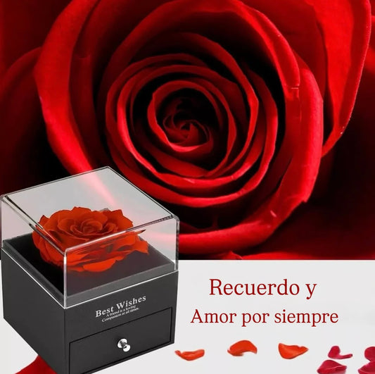 Amor Eterno™ Rosa Eterna + Collar “Te Amo” en 100 Idiomas
