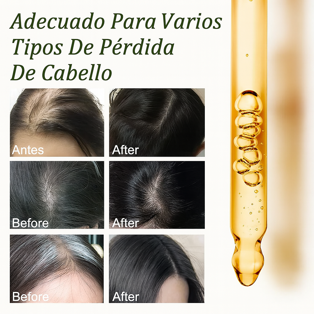 Encabezado