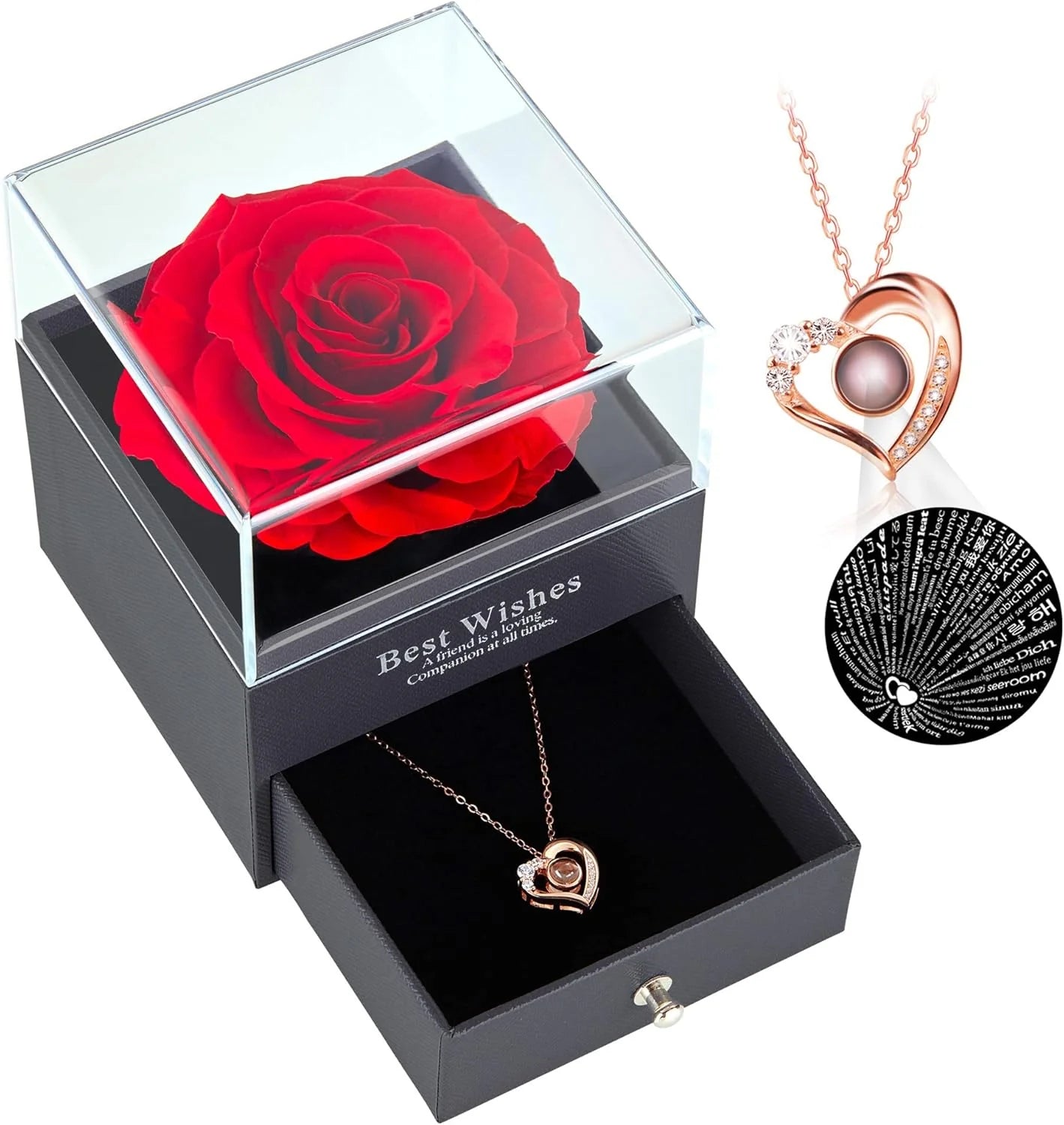Amor Eterno™ Rosa Eterna + Collar “Te Amo” en 100 Idiomas