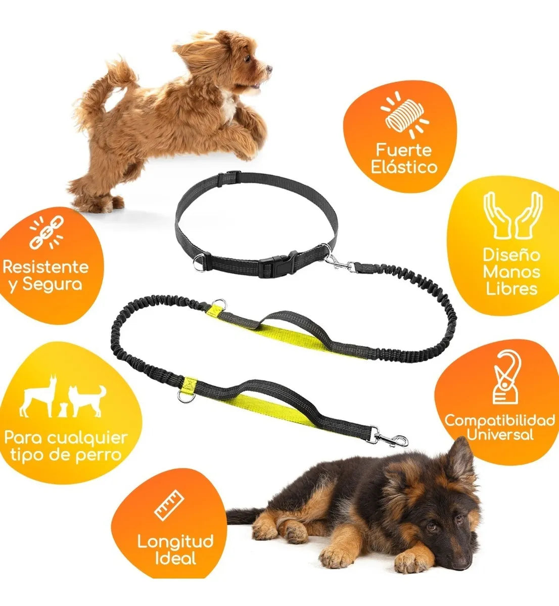 ControlFlex™ Correa Manos Libres para Perros