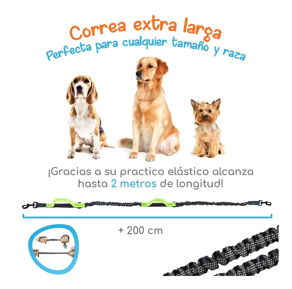 ControlFlex™ Correa Manos Libres para Perros