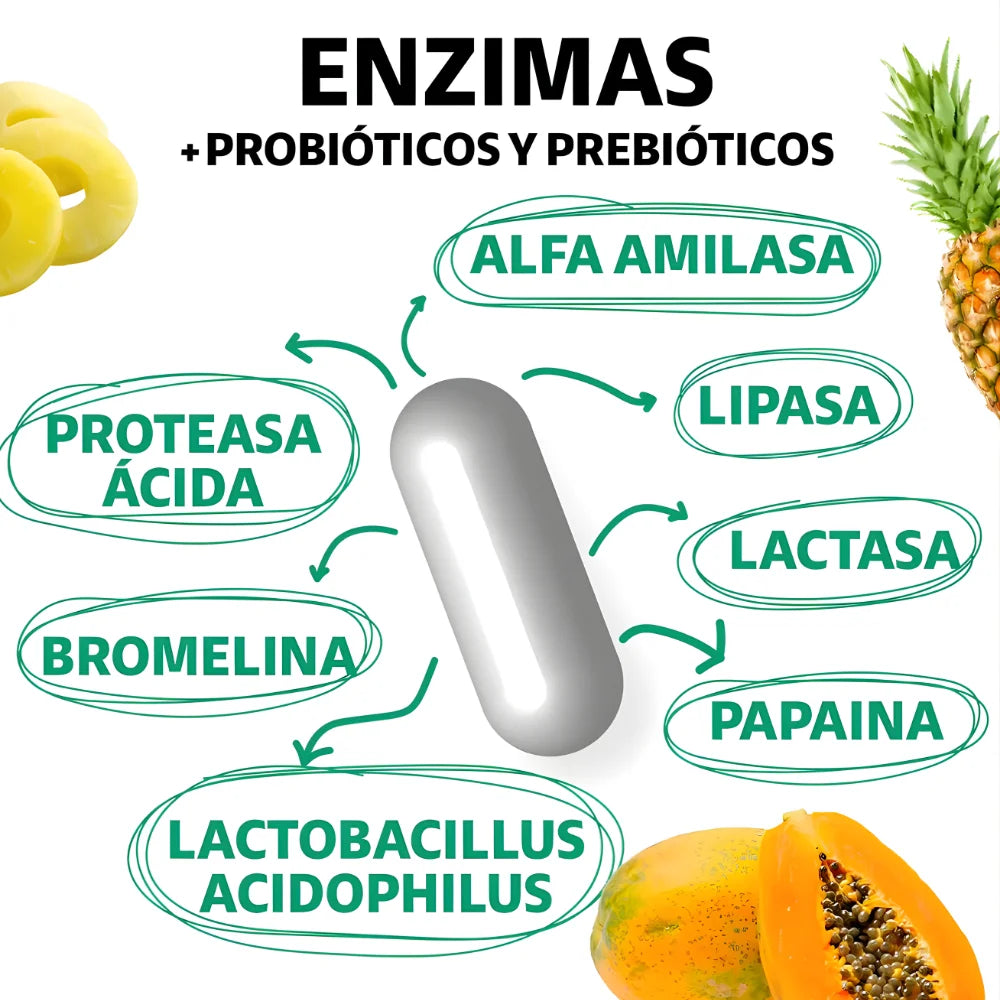 Enzimas™ Suplemento Probióticos y Prebióticos 180 Capsulas