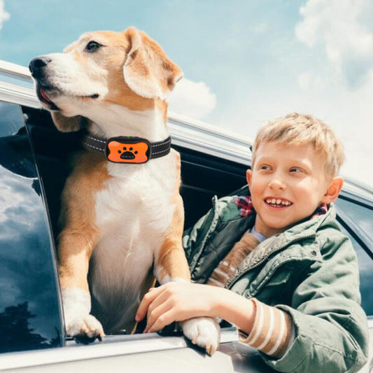 TranquilPet™ Collar Inteligente Anti-Ladridos con Vibración Suave y Detección de Sonido