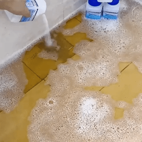 Encabezado