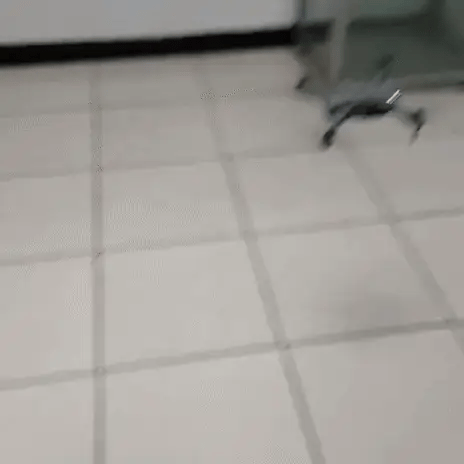 Encabezado