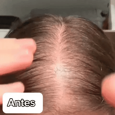 Encabezado